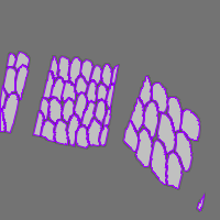 Annotation Visualization