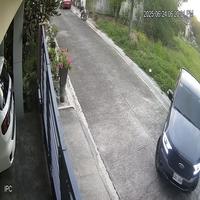 Dataset Image