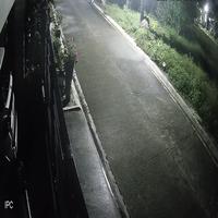 Dataset Image