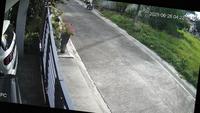 Dataset Image