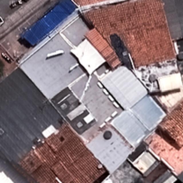Dataset Image