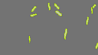 Annotation Visualization