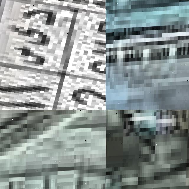 Dataset Image