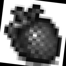 Dataset Image