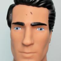 Dataset Image
