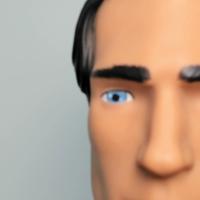 Dataset Image