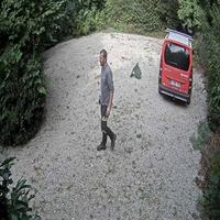 Dataset Image