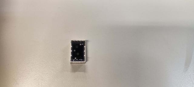 Dataset Image