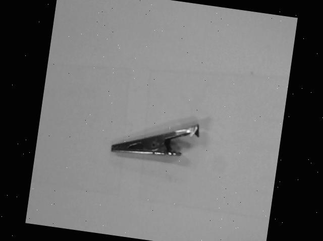 Dataset Image