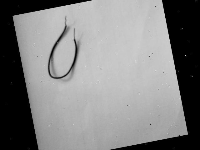 Dataset Image