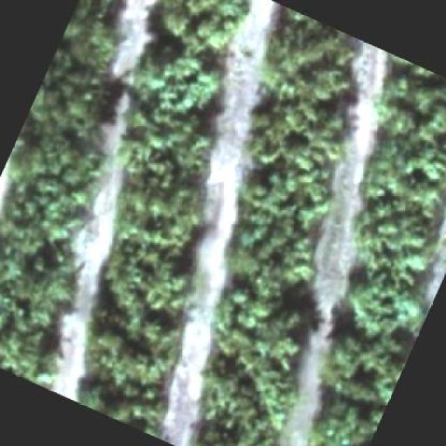 Dataset Image