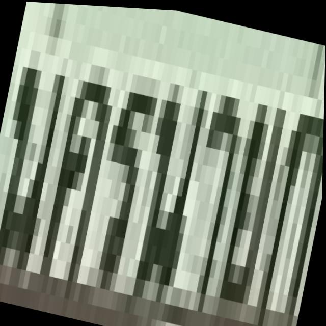 Dataset Image