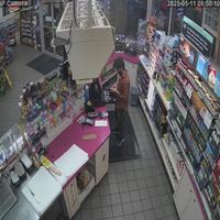 Dataset Image