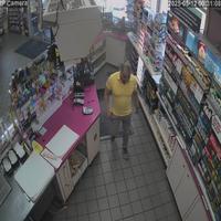 Dataset Image