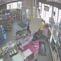Dataset Image