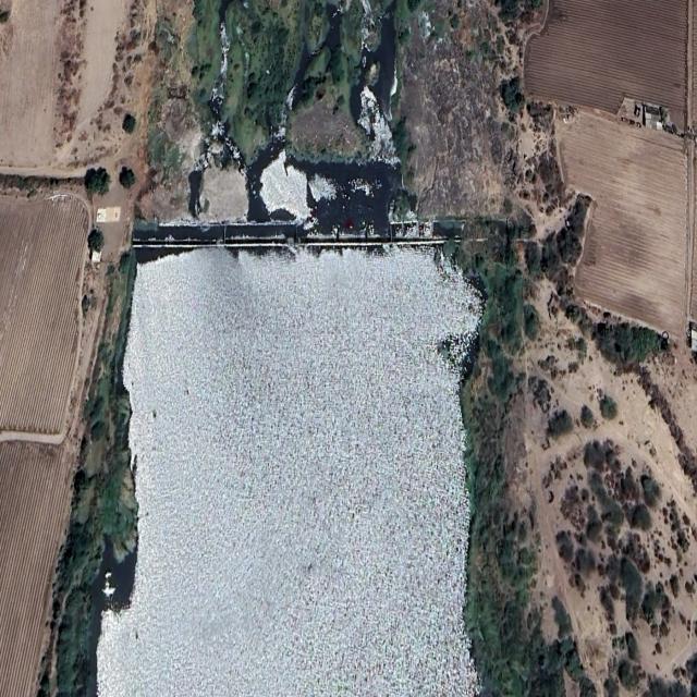 Dataset Image
