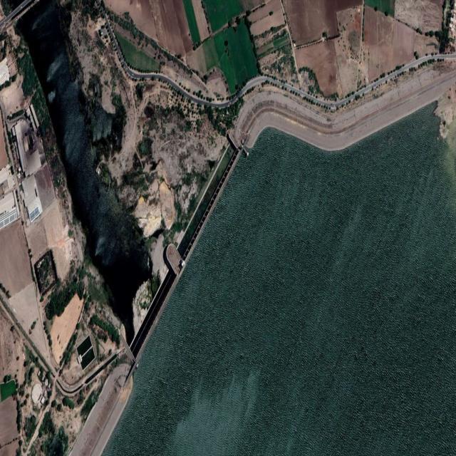 Dataset Image