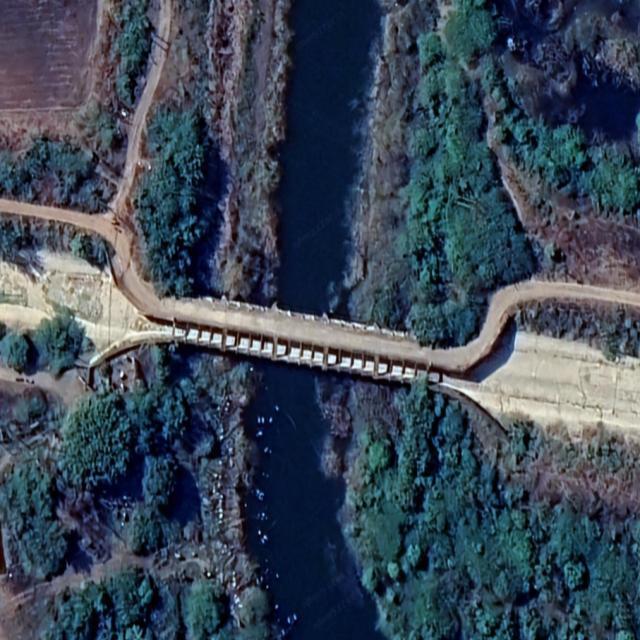 Dataset Image