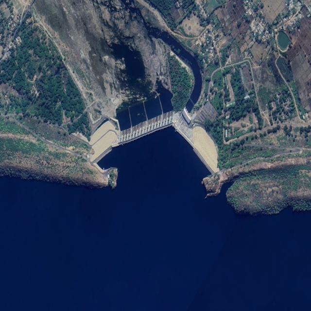 Dataset Image