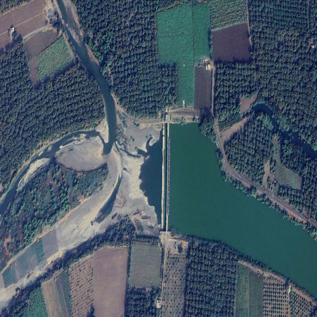 Dataset Image