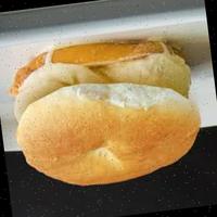 Dataset Image