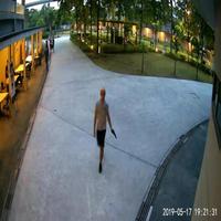 Dataset Image
