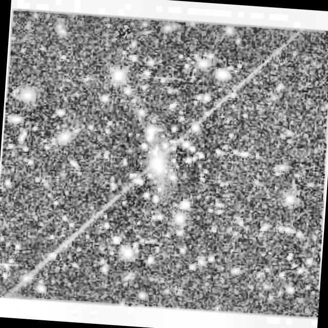 Dataset Image