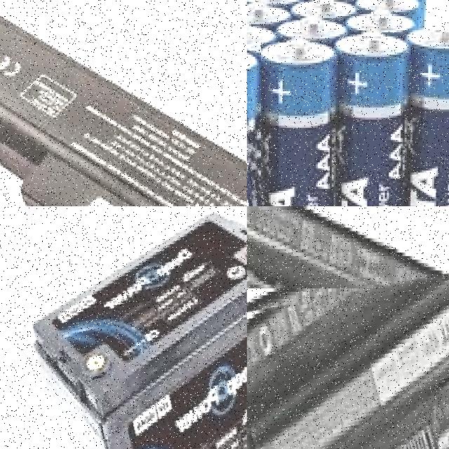 Dataset Image
