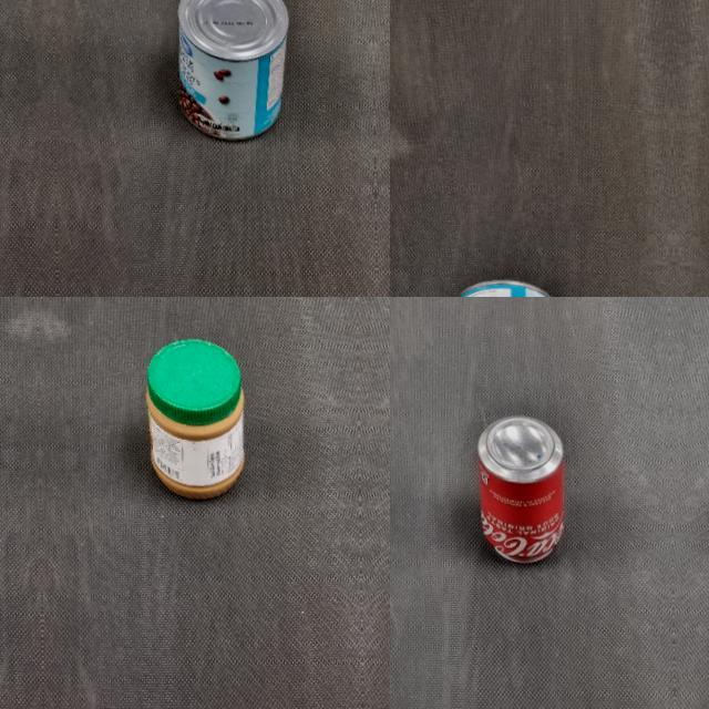 Dataset Image