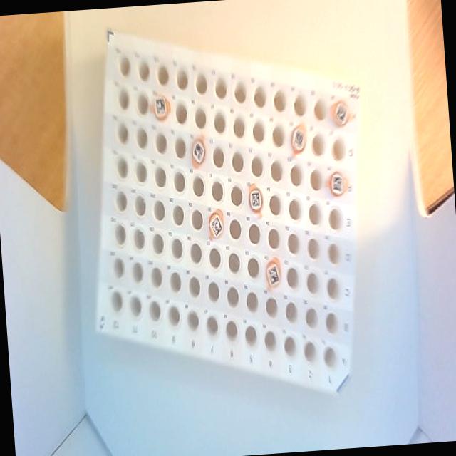 Dataset Image