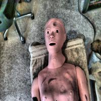 Dataset Image