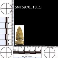 Dataset Image