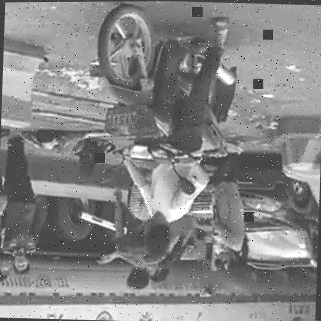 Dataset Image