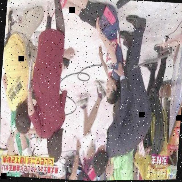 Dataset Image