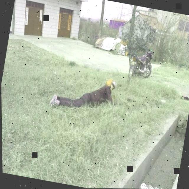 Dataset Image