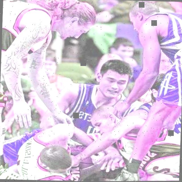 Dataset Image