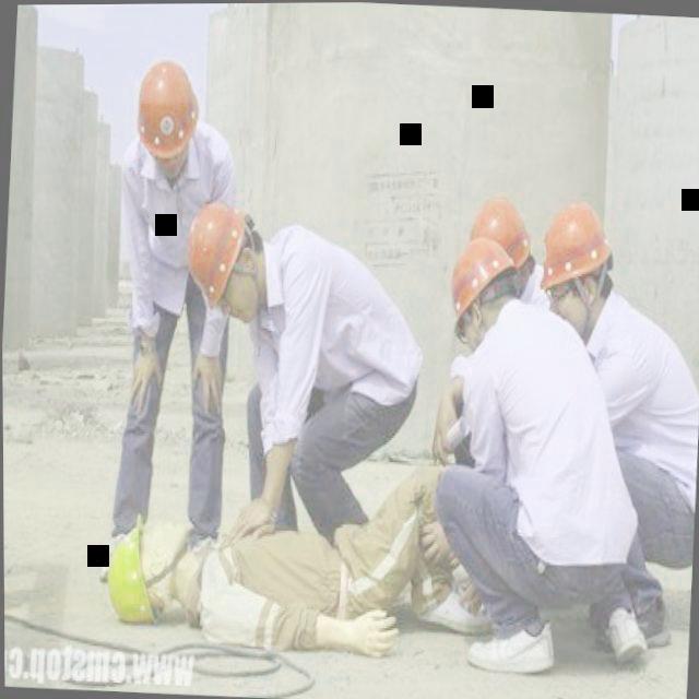 Dataset Image