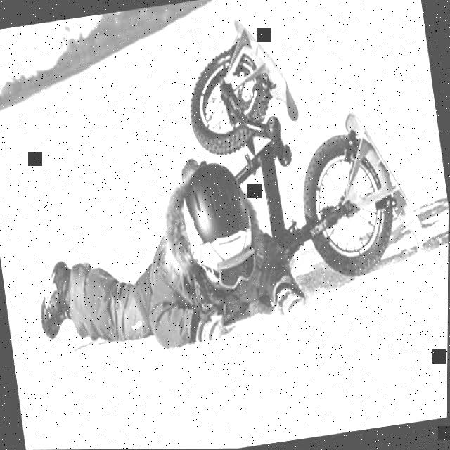 Dataset Image