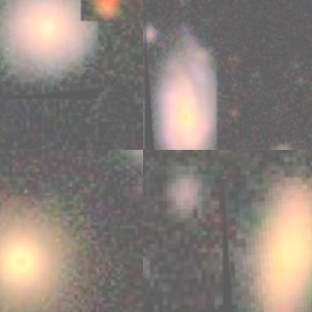 Dataset Image