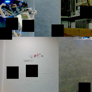 Dataset Image