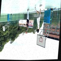 Dataset Image