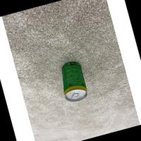 Dataset Image