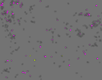 Version