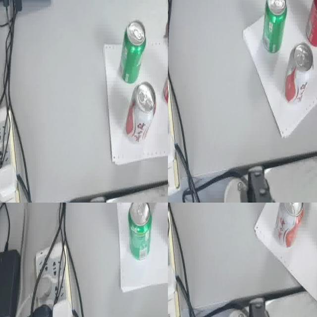 Dataset Image