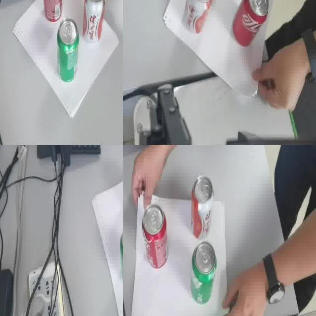 Dataset Image