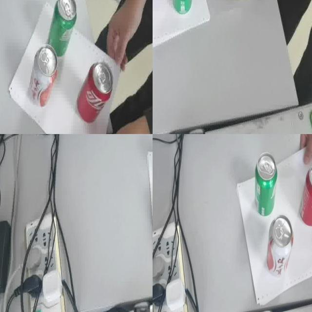 Dataset Image