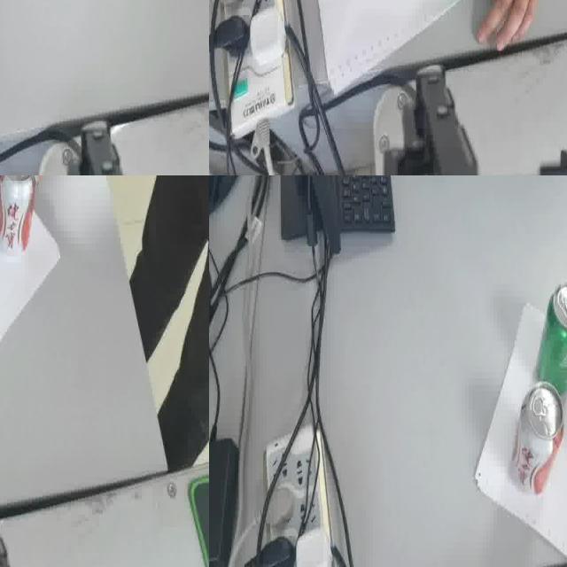 Dataset Image