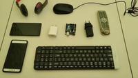 Dataset Image