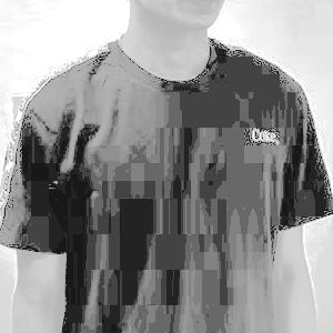 Dataset Image