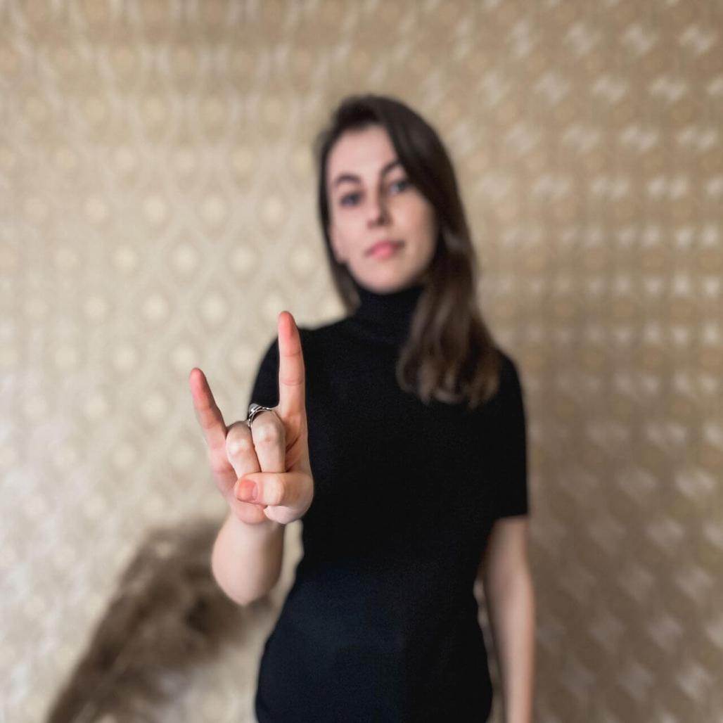 Dataset Image